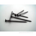 Iron Common Nails Polished Common round nails Manufactory